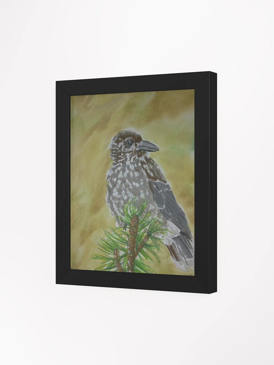 Member bonus: Corvid Series [09] Spotted Nutcracker Framed Print product image (3)