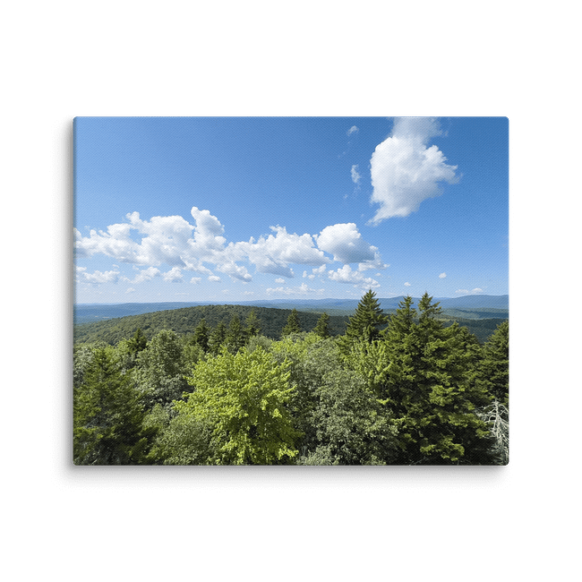 From the Fire Tower