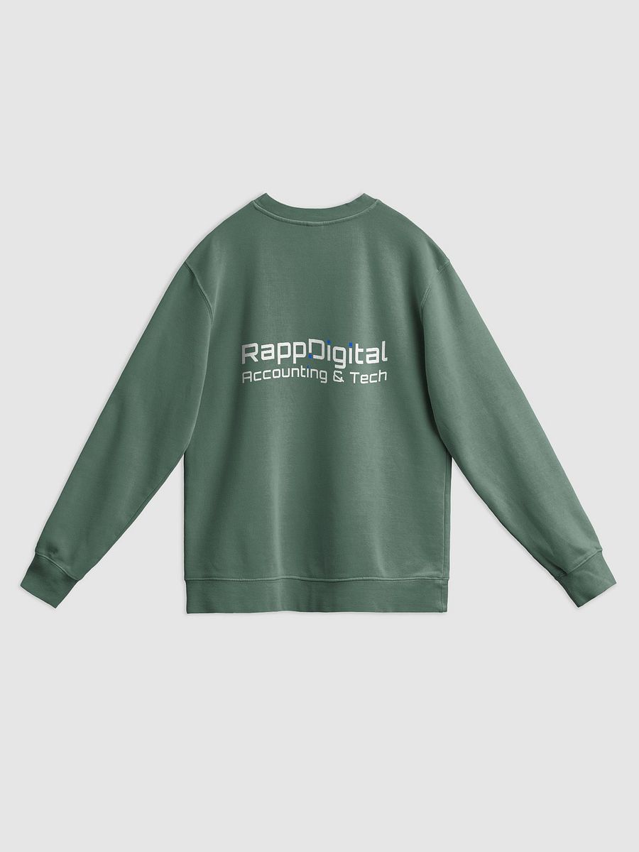Rapp.Digital Pigment-Dyed Sweatshirt product image (22)