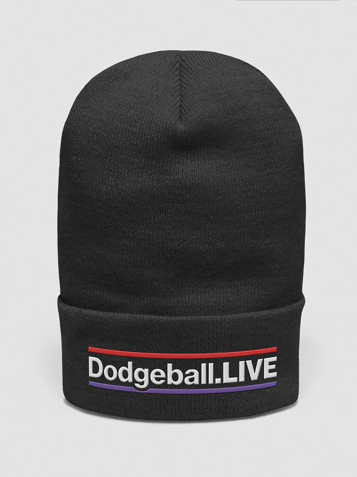 Dodgeball.LIVE HZ Beanie/Toque (Light) product image (1)