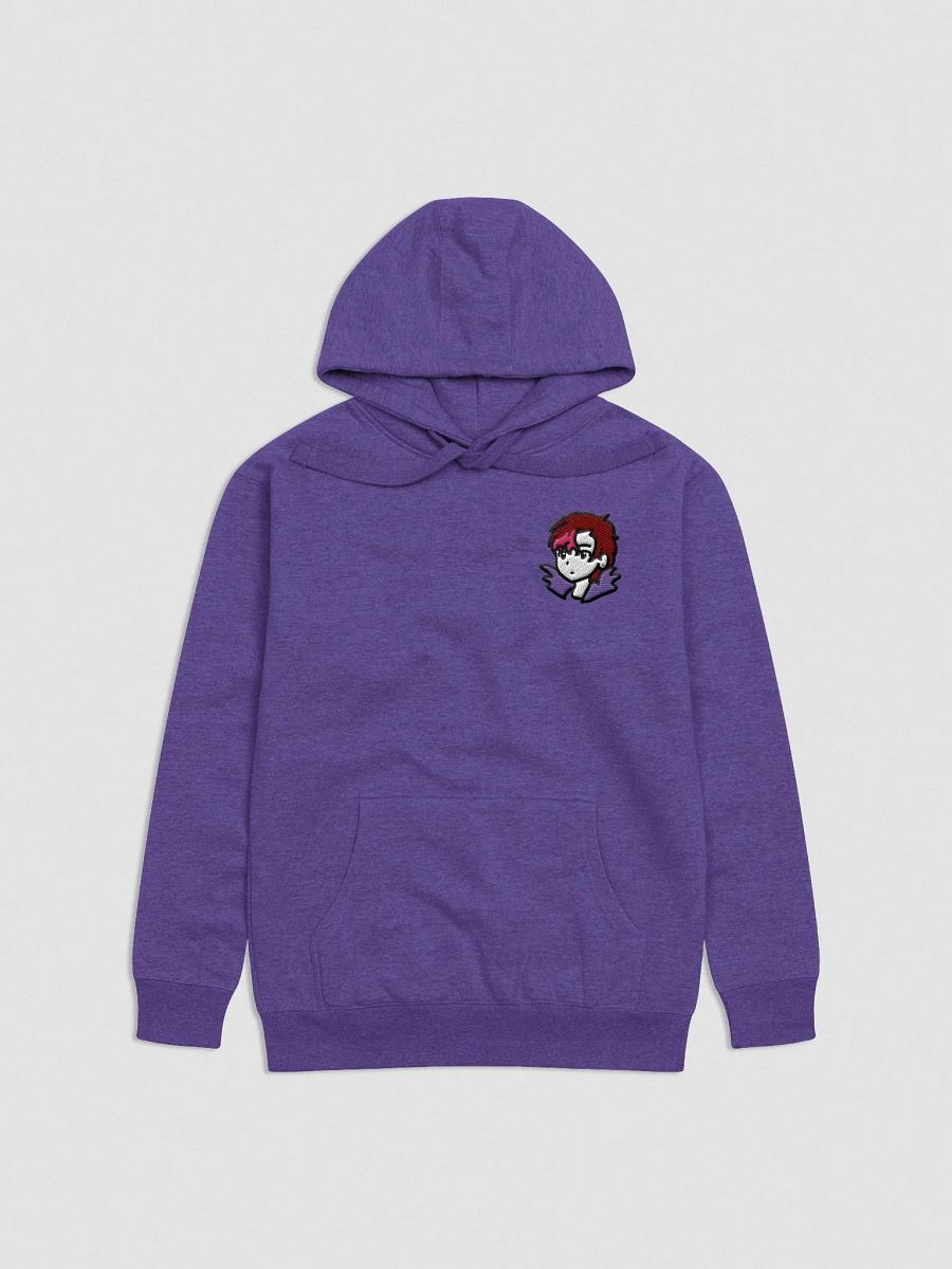 BiS Kai Embroidered Hoodie (zzZ) +12 Alt. Colors product image (2)