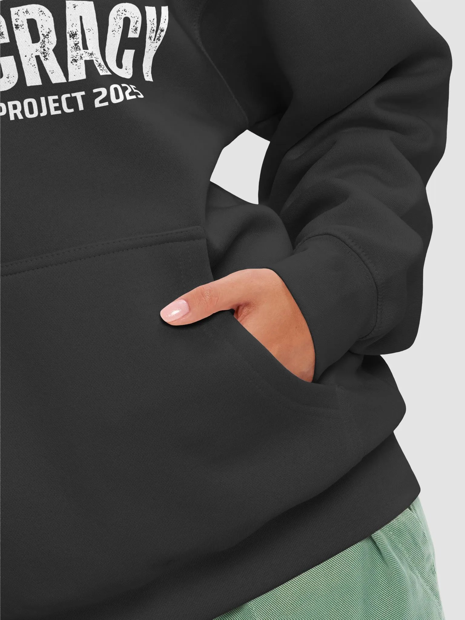 Pris-Vote For Democracy -Lane Seven Premium Pullover Hoodie product image (36)