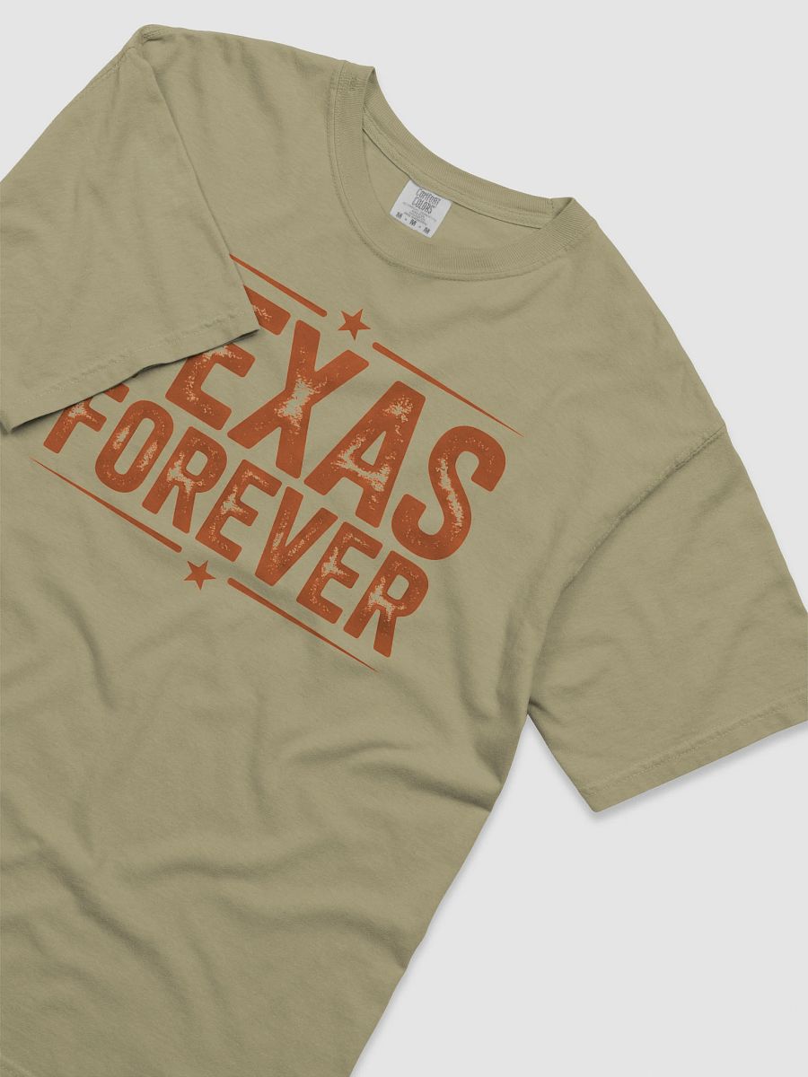 Texas Forever Distressed T-Shirt product image (40)