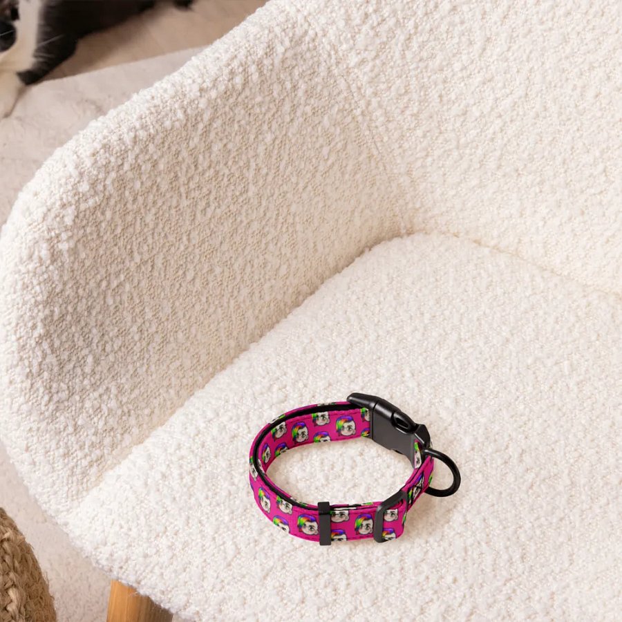 Hybrid Pride Collar (Pink) product image (4)