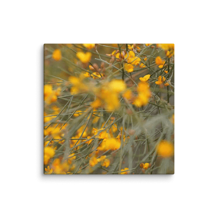 This Plant Canvas product image (2)