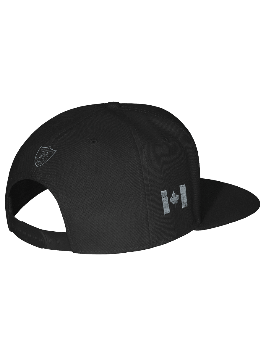 VGO 20 Year Hat product image (8)