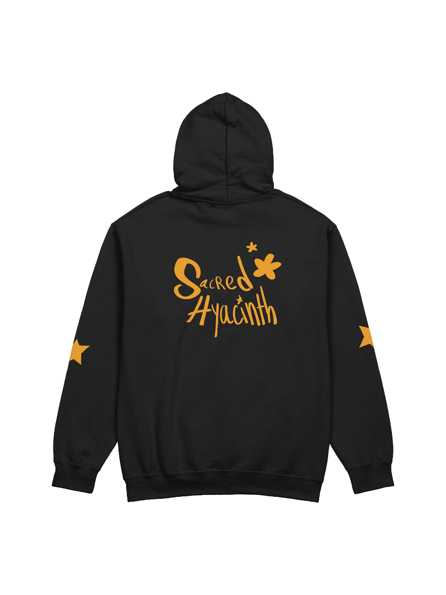 Black Magic Hoodie product image (14)