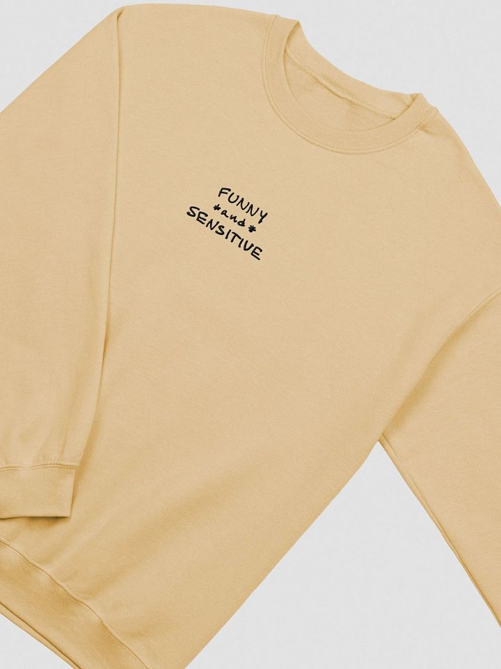FUNNY *and* SENSITIVE embroidered crewneck product image (1)