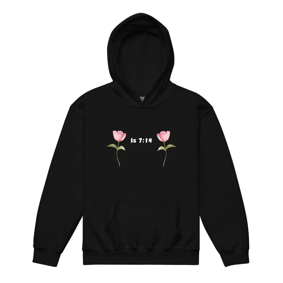 Is 7:14 Girl Hoodie! product image (2)