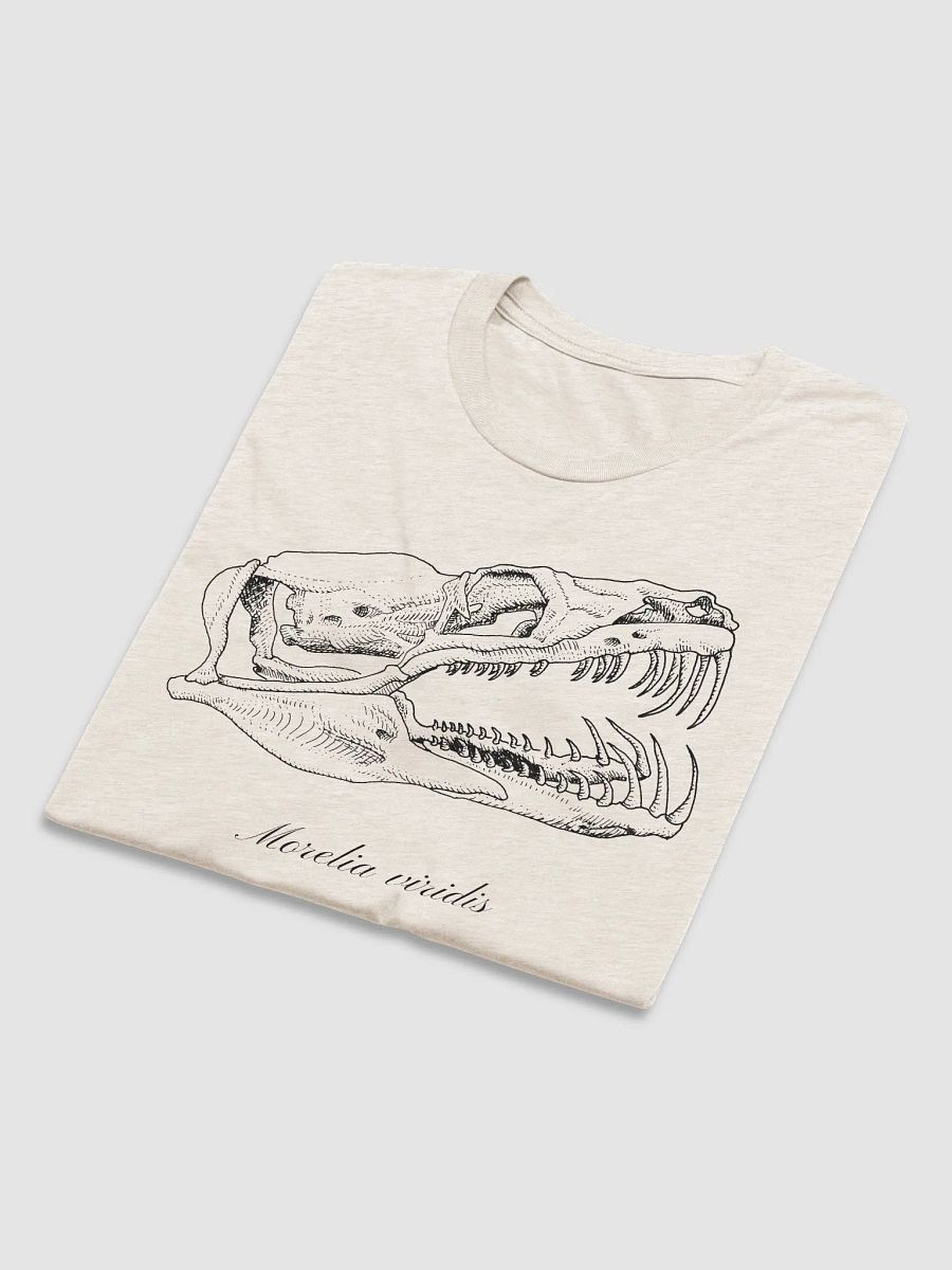 Green Python Skull product image (9)