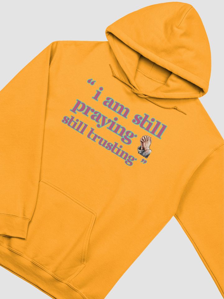 I am Still Praying, Still Trusting Gildan Hoodie. product image (10)