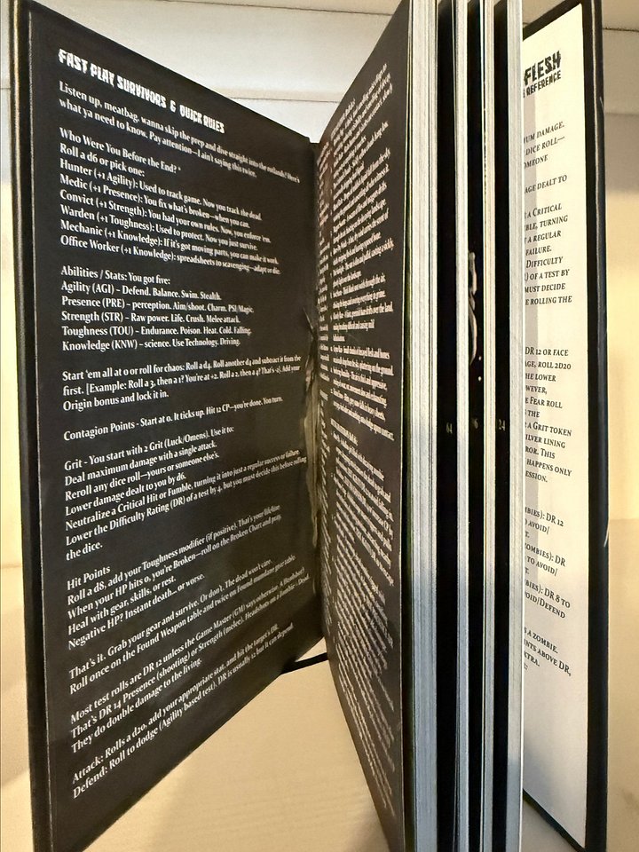 Limited Edition Dead Flesh Physical Book product image (2)