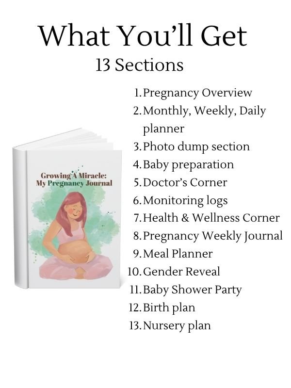 Ultimate Pregnancy Planner Printable in Canva product image (3)