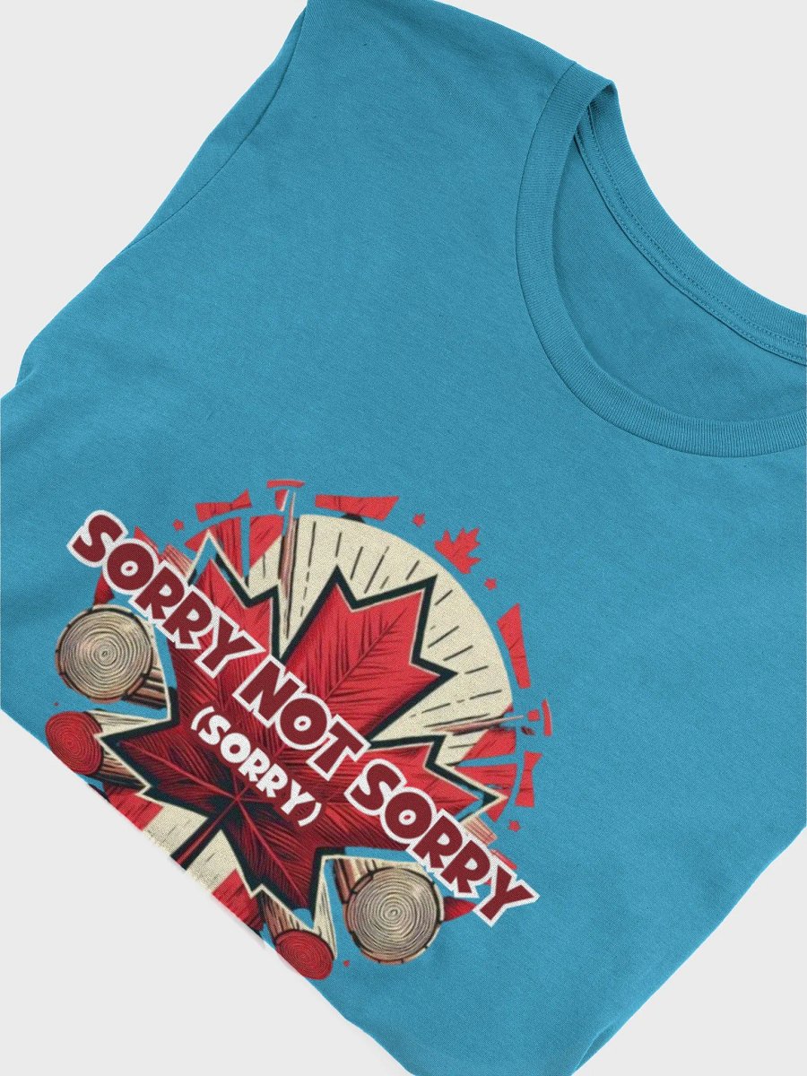 Apologetically Unapologetic Tee product image (40)