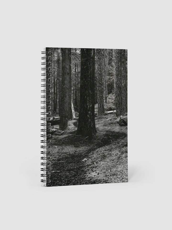 Hiking in the Buckhorn Wilderness Spiral Notebook product image (1)
