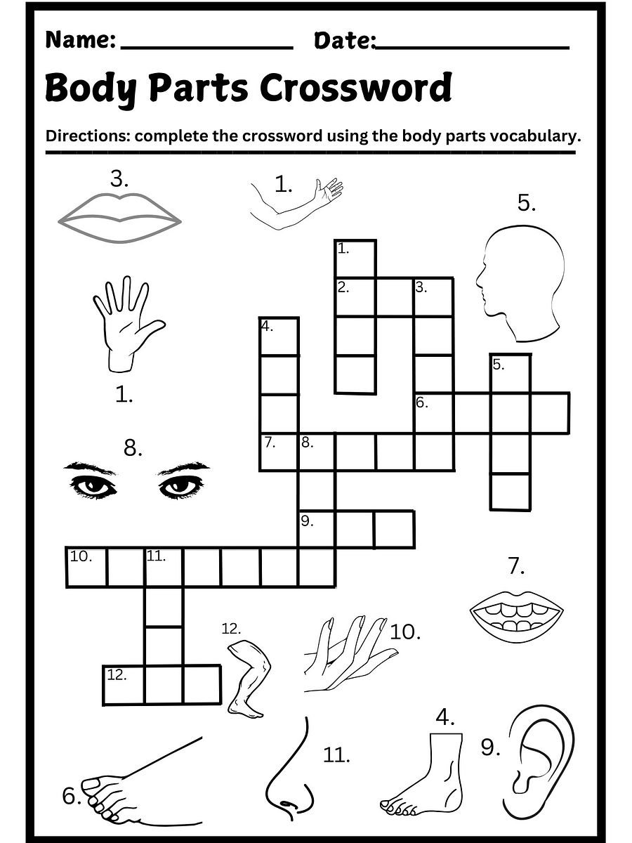 Body Parts Crossword Puzzle Printable product image (1)