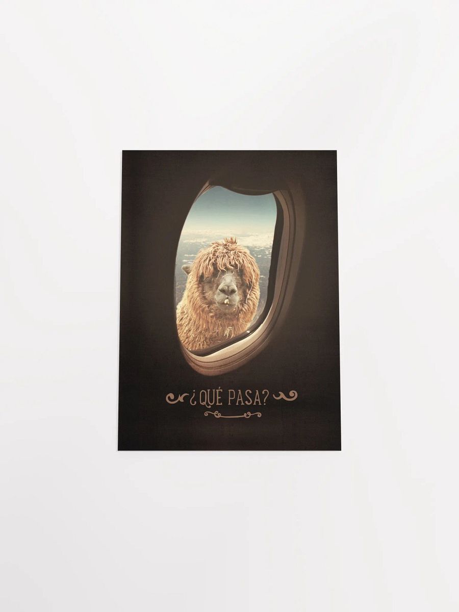 Llama's Perspective Poster "¿Que Pasa?" product image (33)
