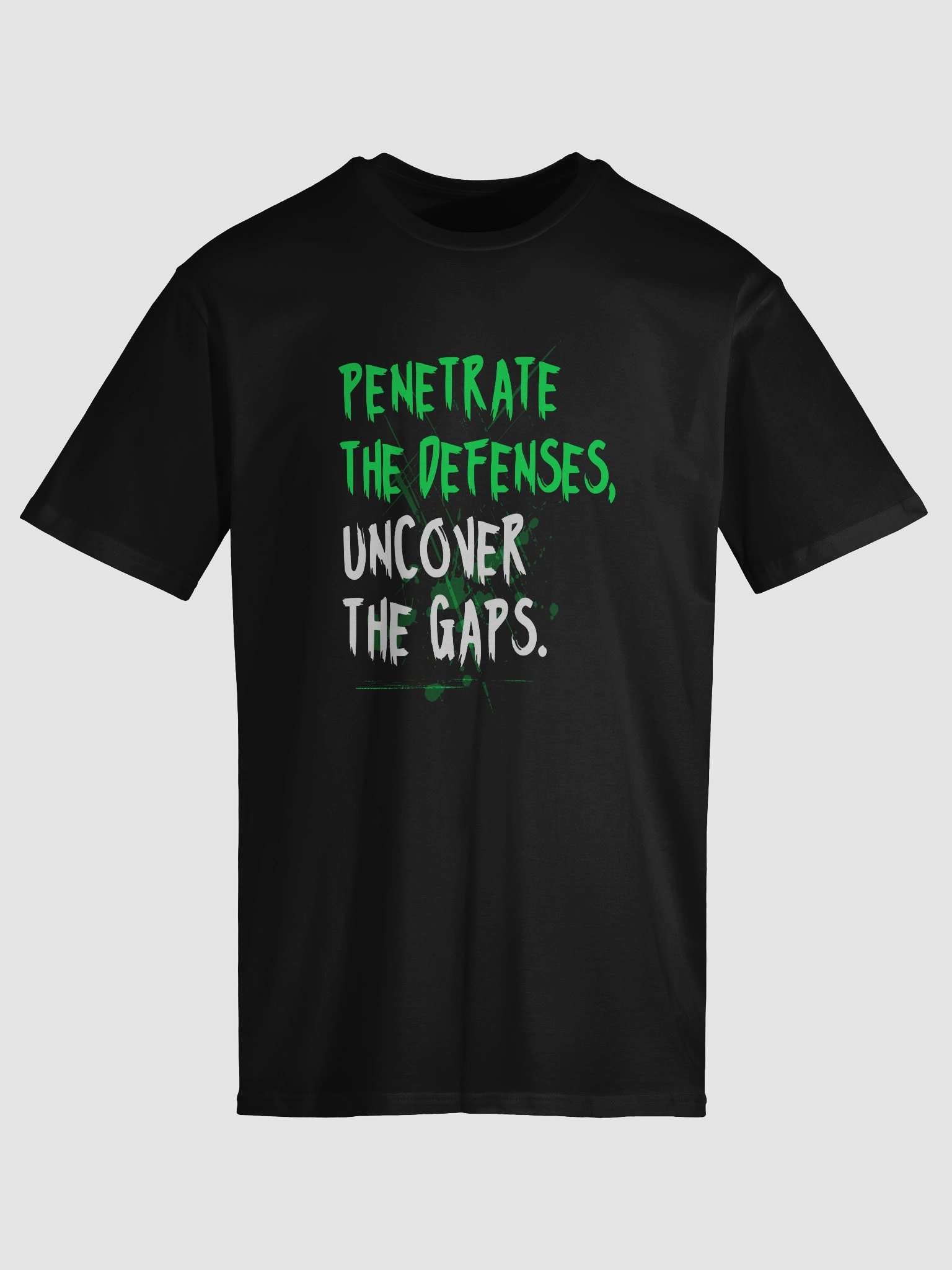🛡️ Penetrate the Defenses, Uncover the Gaps product image (5)