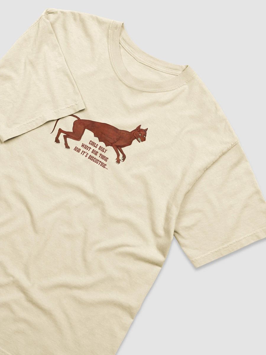 'Girls Only Want One Thing And It's Disgusting...' T Shirt (colours available) product image (3)