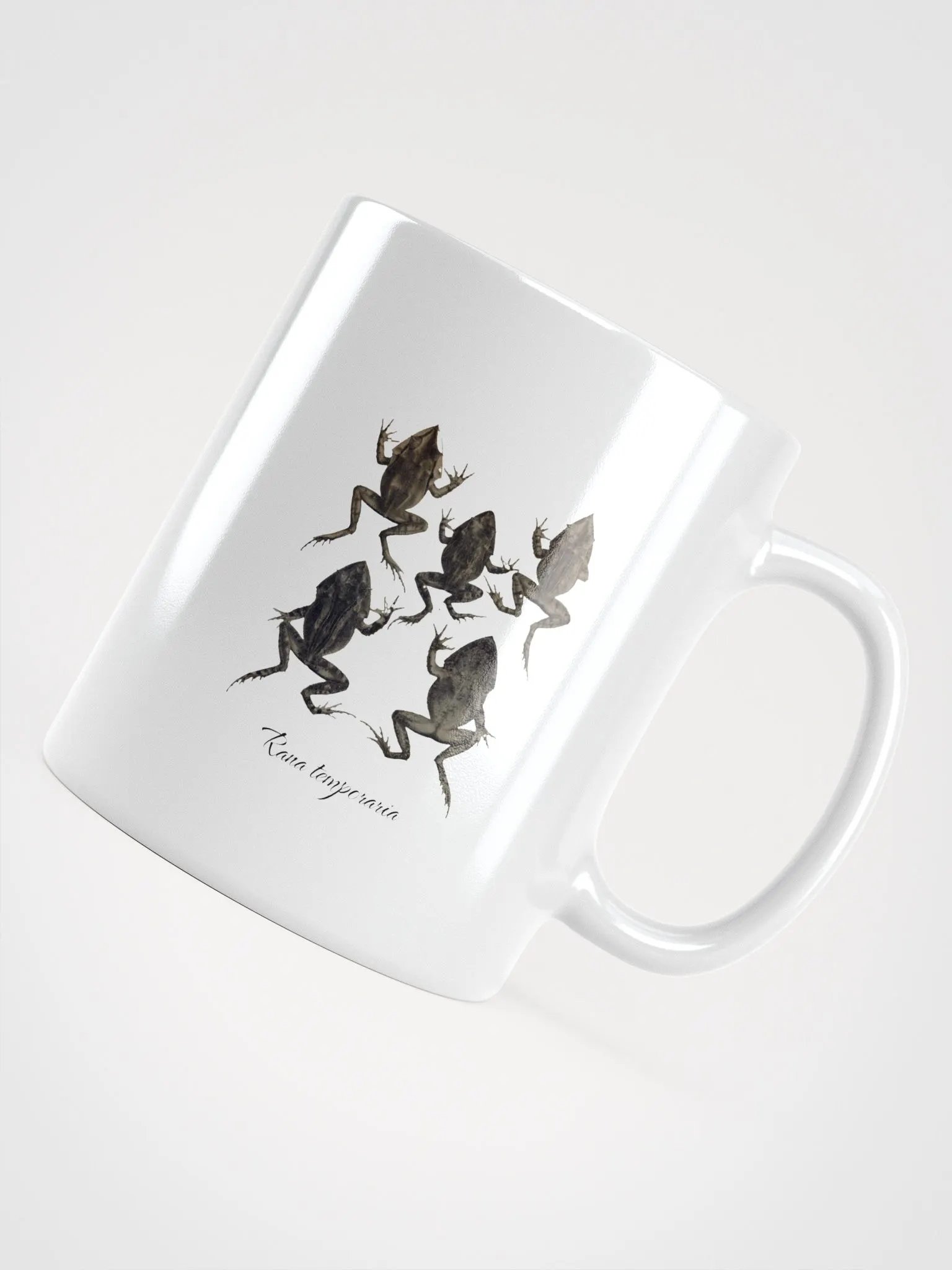 Rana Temporaria - Vintage Frog Design product image (7)