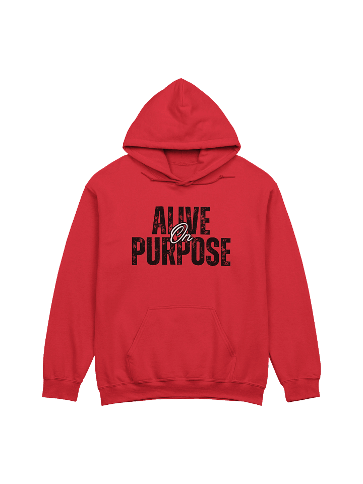 Alive on Purpose Hoodie product image (1)