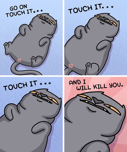 You MUST touch it.... and then you will pay... with your life 😡
 #cats #catstagram #catscomics #webcomic #comicstrip