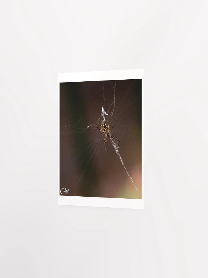 Webs - Print product image (2)