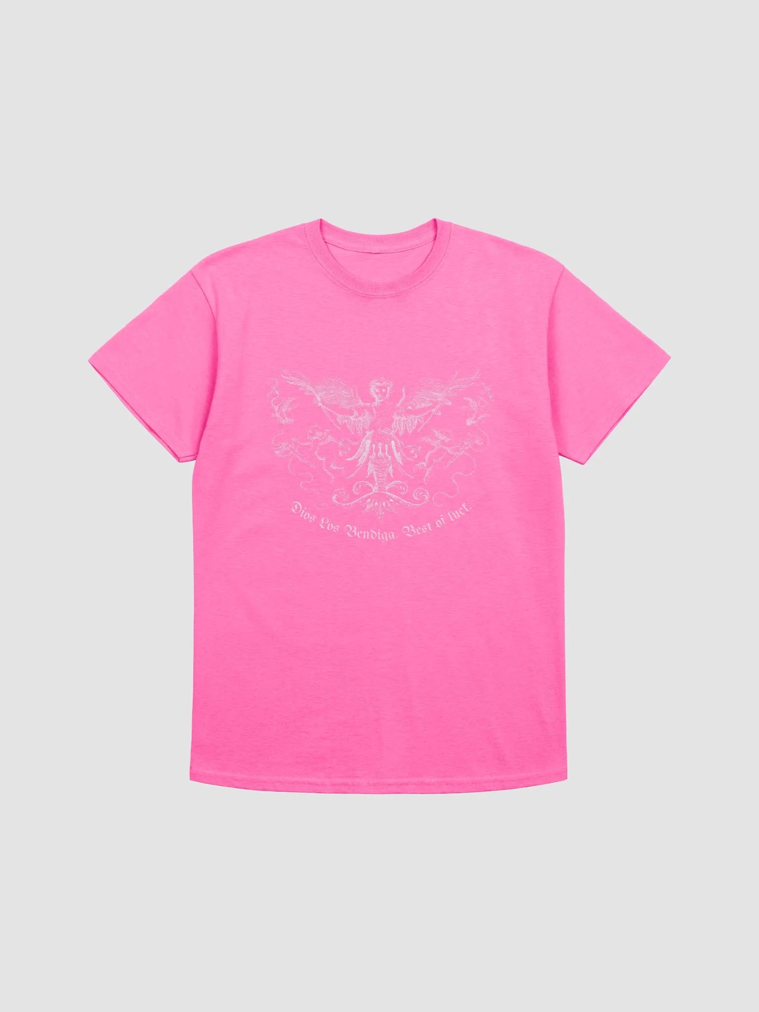 Dios Los Bendiga T-Shirt product image (2)