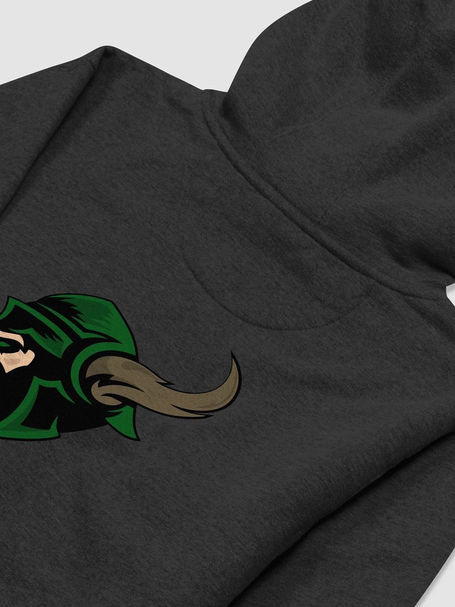 Warriors Of Albion Hoodie product image (4)