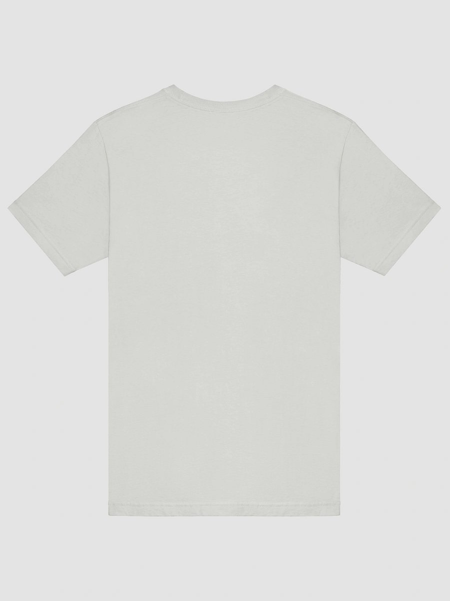 No Kings (light variant) Straight-Sided T-Shirt product image (6)