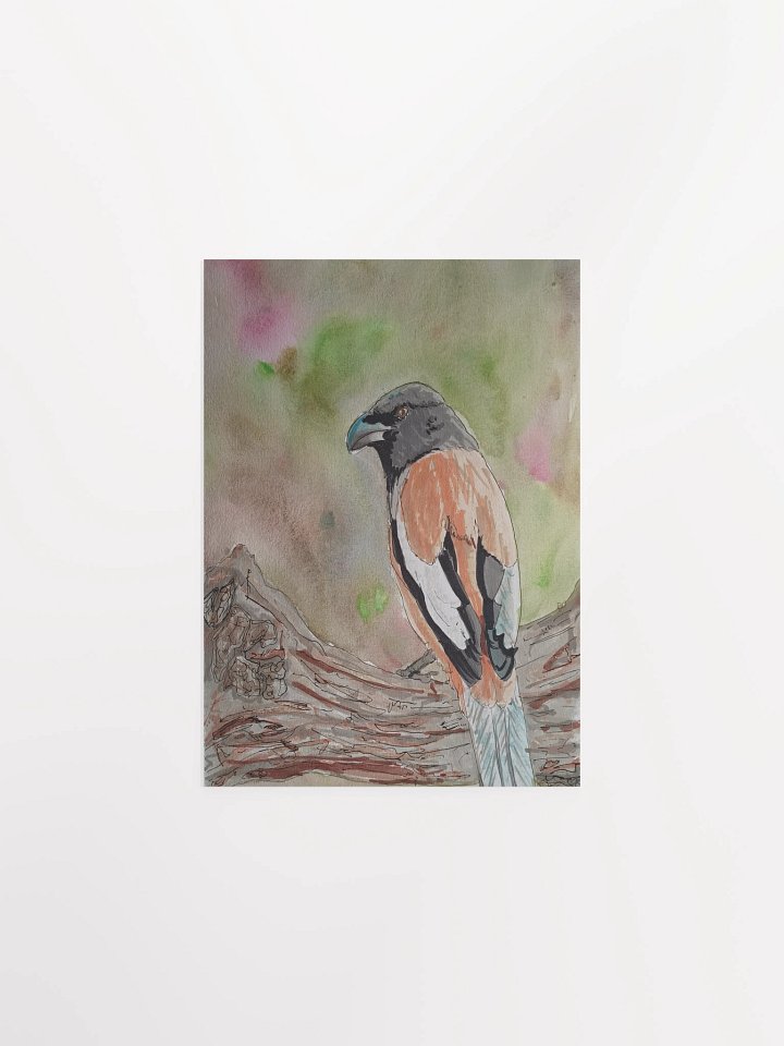 Corvid Series [11] Rufous Treepie poster print product image (1)