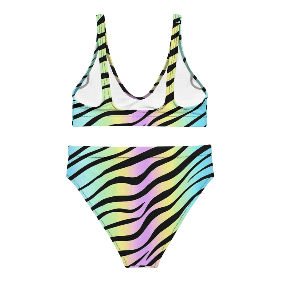 Pink Zebra Bikini product image (6)