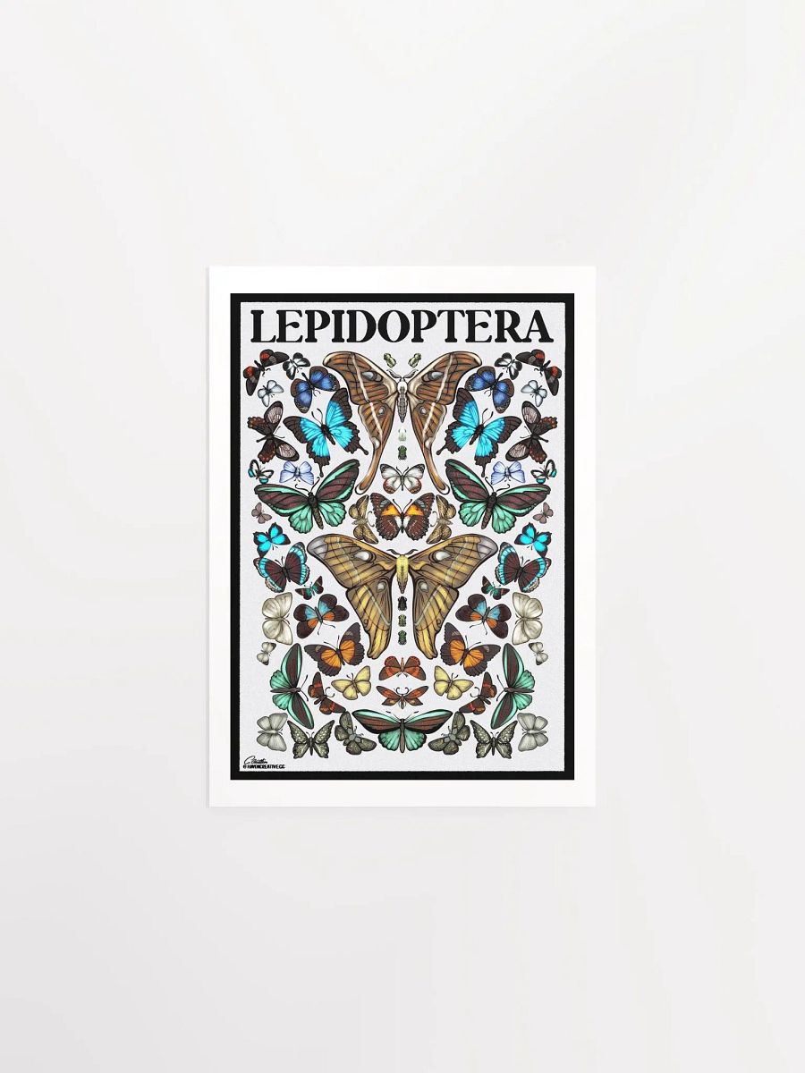 "Lepidoptera" Poster product image (1)