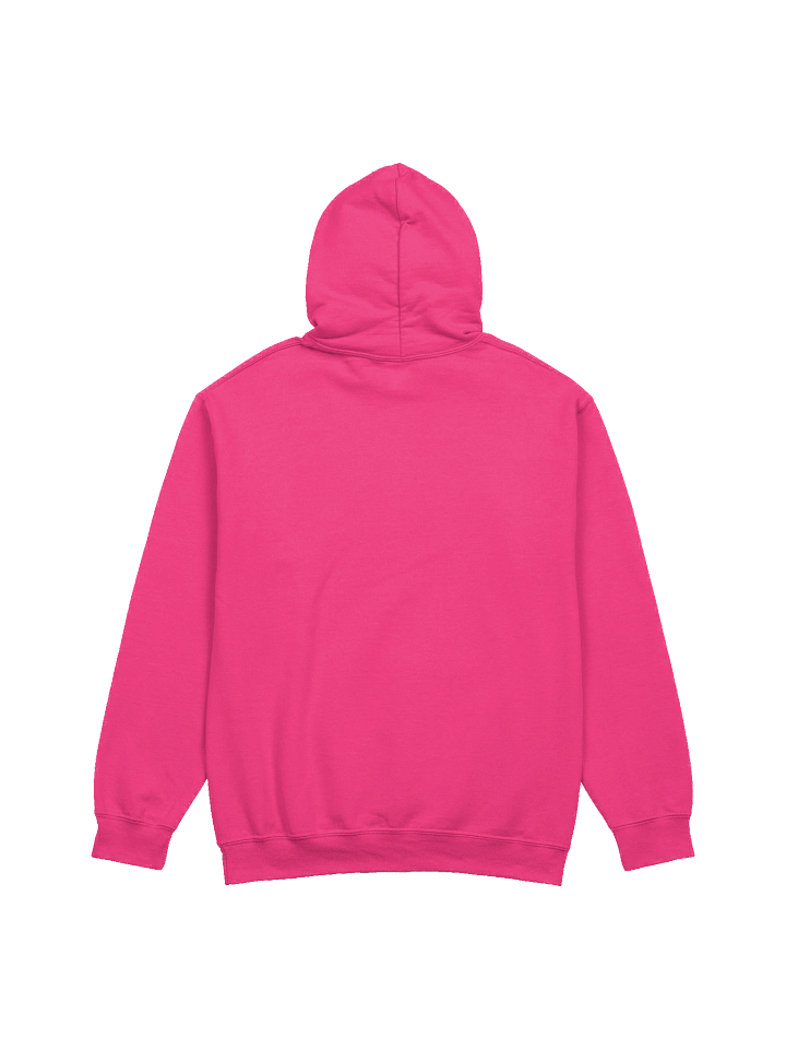 ITDC- 2025 Hoodie product image (11)