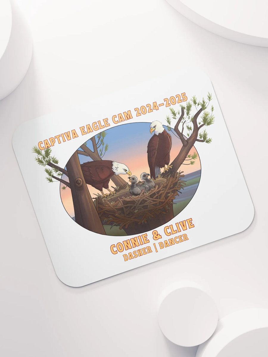 Art | Mouse Pad | Captiva Eagle Cam 2024-2025 product image (6)