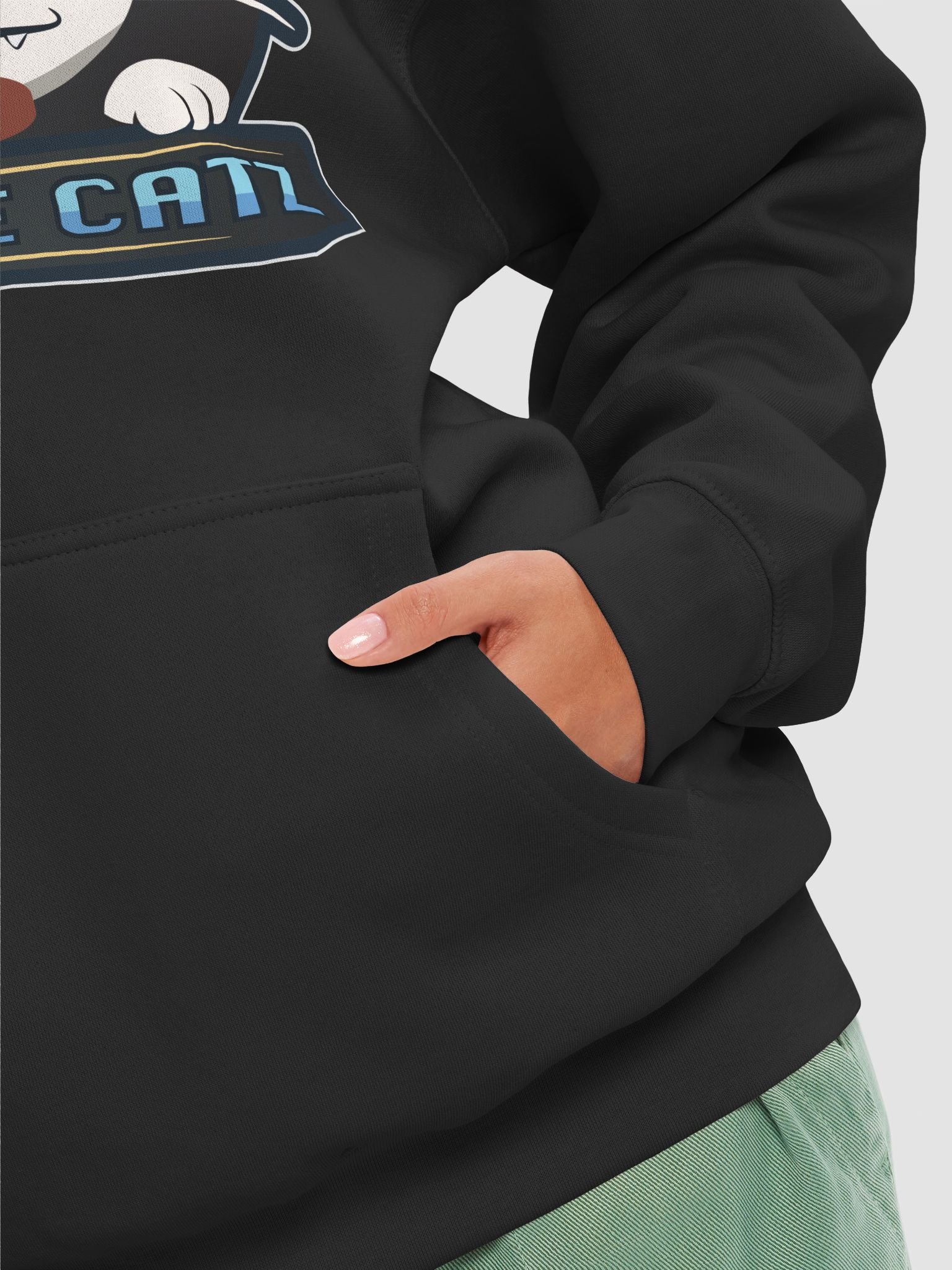 The Battle Catz Podcast Hoodie! product image (31)