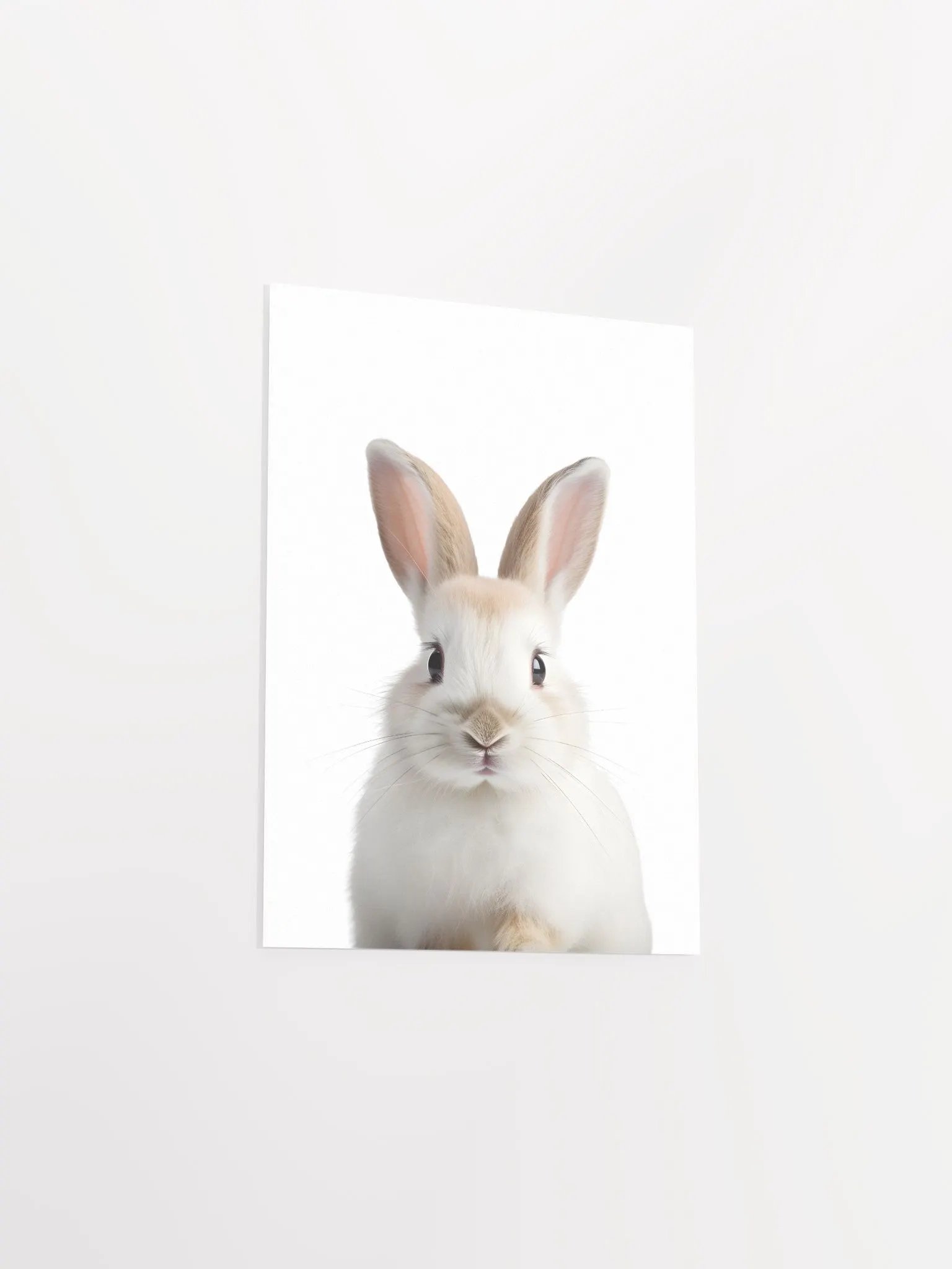 Fluffy Bunny Bliss Print product image (5)