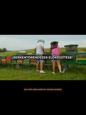 Több méhészethez szereltünk már serkentőrendszert! 👌 #méhészet #csövek #lyukfúrás #szakértelem #méhcsalád #mestertechnika #behelyezés #méhészetititkok #profimunka #serkentőrendszer #ezermester #méhekfejlesztése #precíziósméhészet #modernméhészet #méhekfejlődése #kaptárrendszer #méhcsaláderőssége #méhtenyésztés #méhanyanevelés #méhészképzés #méhészkedés