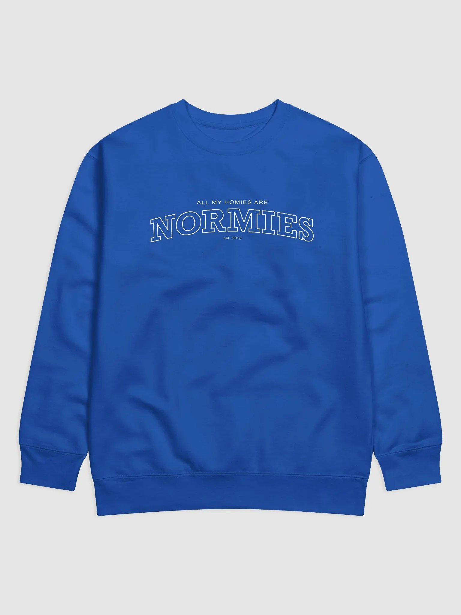 All of My Homies are Normies - Sweatshirt product image (1)