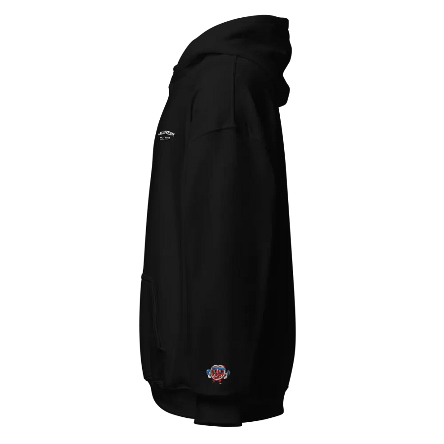 Embroidered Logos Hoodie product image (3)