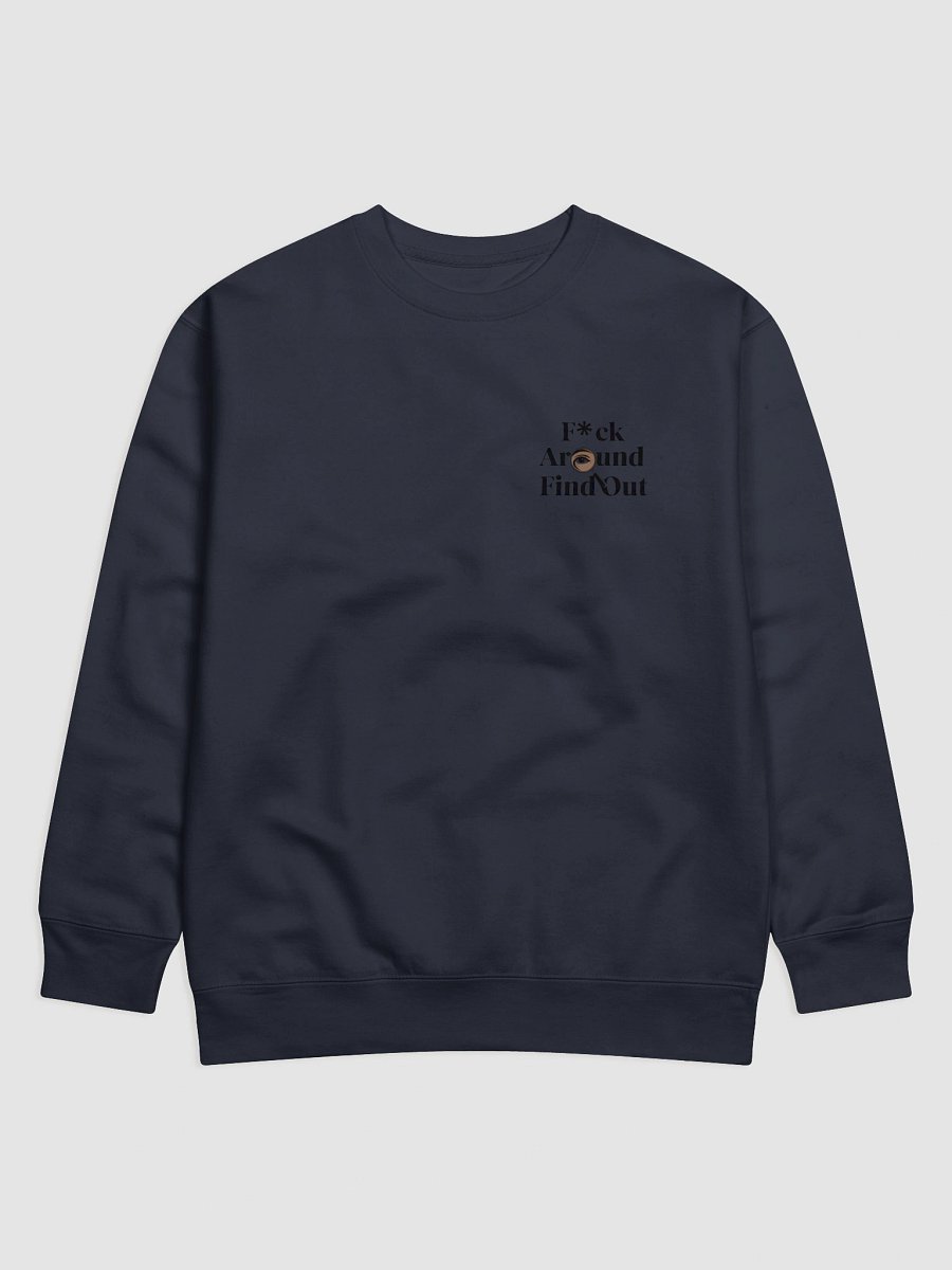 Eye-Catching 'F*ck Around Find Out' Sweatshirt product image (3)