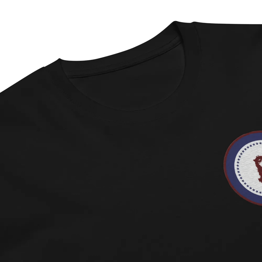 RSFA Tee product image (6)