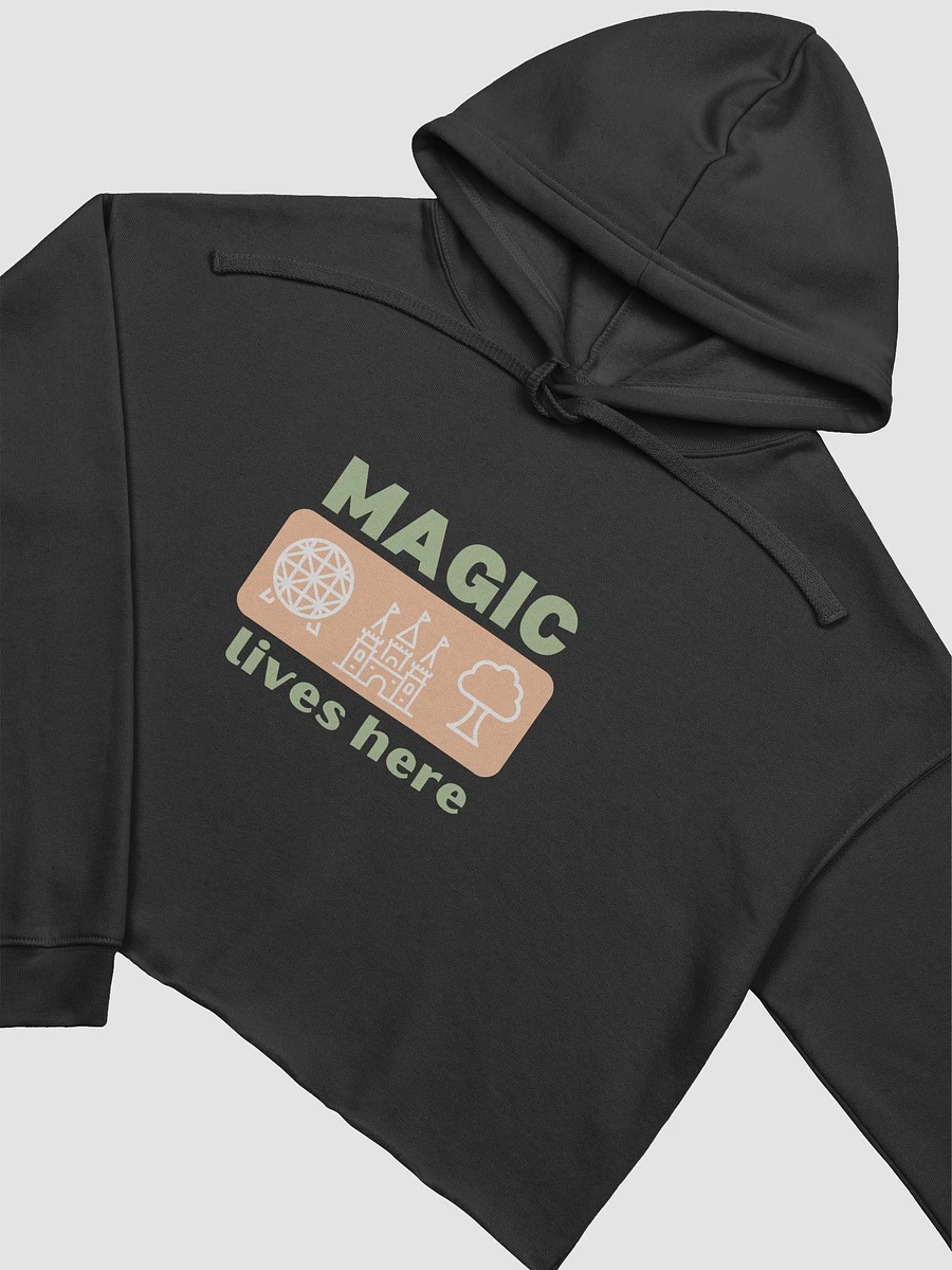 Fashion Meets Fairytale: Disney Magical World Attractions Crop Hoodie Dark Colors product image (6)