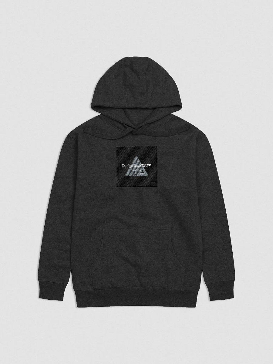 Embraided Hoodie product image (3)
