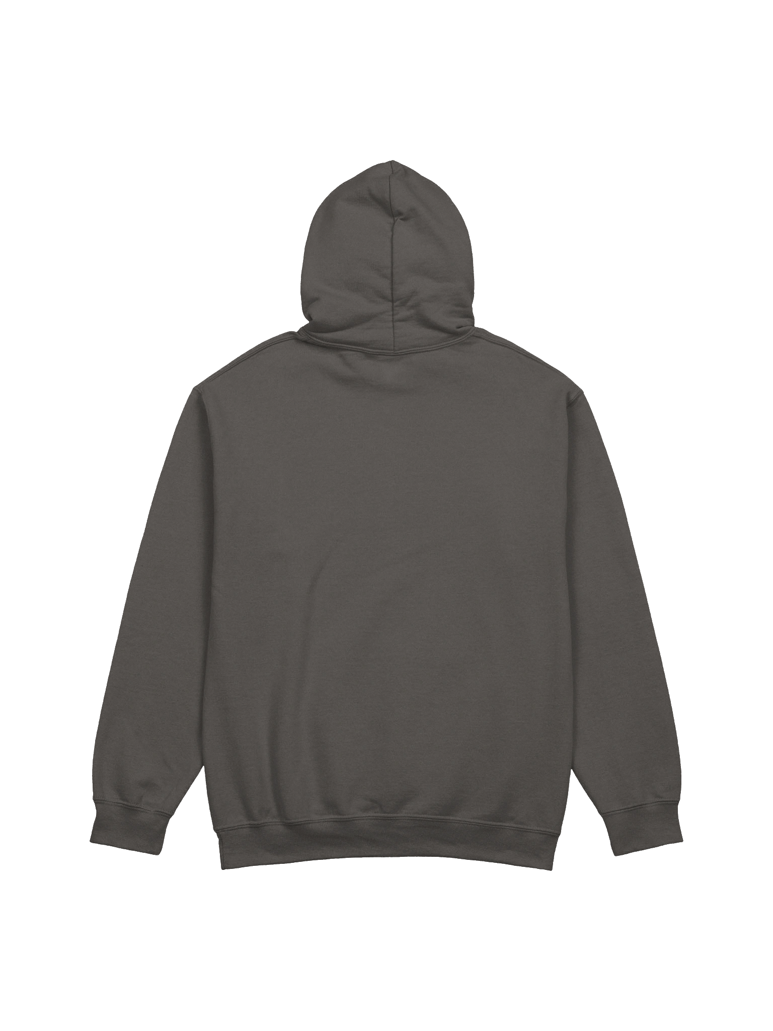 Embroidered Hoodie product image (14)