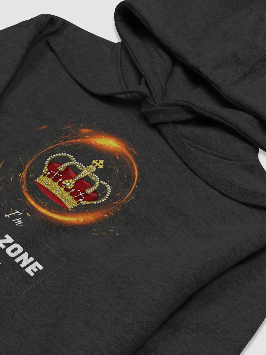 CZ Qualified Hoodie product image (3)