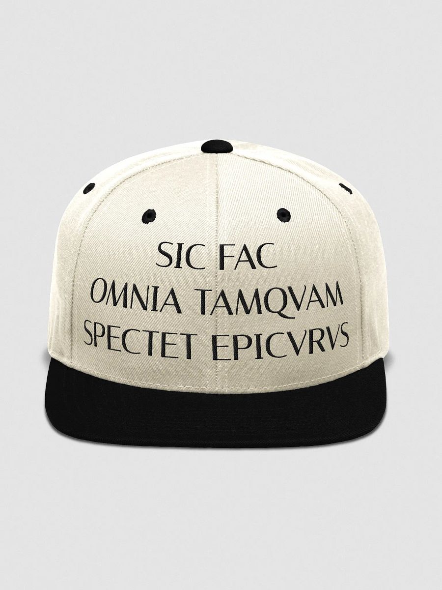 SOTSFE DARK (Yupoong Wool Blend Snapback Cap) product image (2)