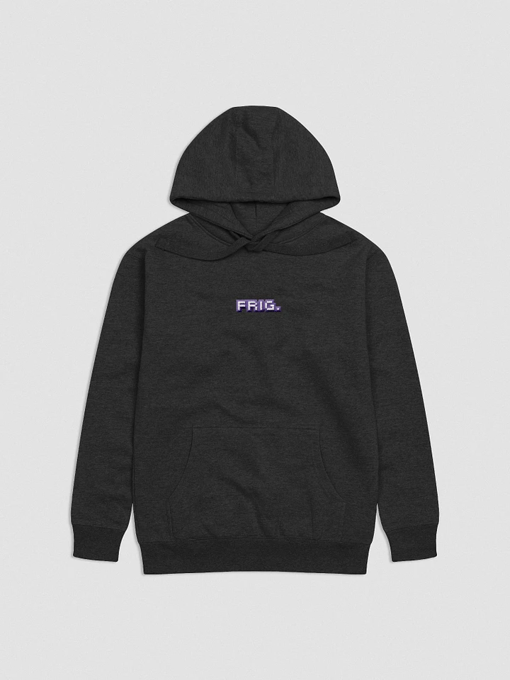 FRIG. Embroidered Hoodie product image (1)