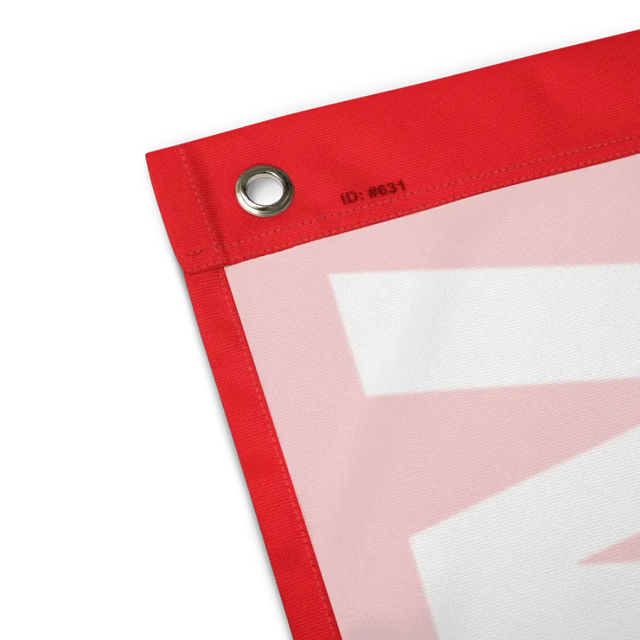 we do this not because it is easy flag product image (7)