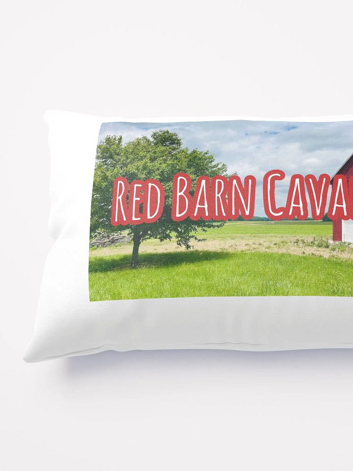 RBC Throw Pillow featuring Rio and Vienna product image (2)